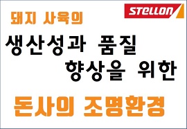 돼지 사육 생산성 향상을 위한 돈사의 조명환경